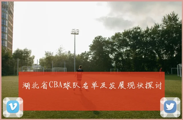 湖北省CBA球队名单及发展现状探讨