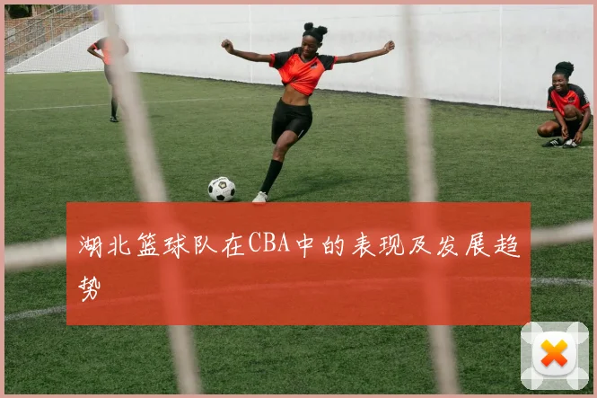 湖北篮球队在CBA中的表现及发展趋势