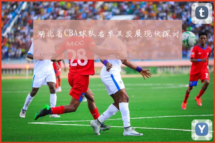 湖北省CBA球队名单及发展现状探讨