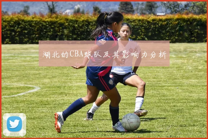 湖北的CBA球队及其影响力分析