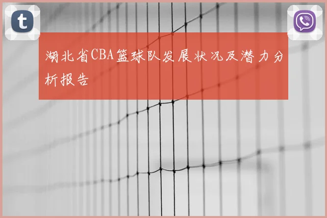 湖北省CBA篮球队发展状况及潜力分析报告