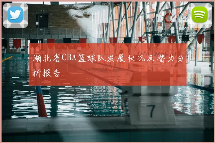 湖北省CBA篮球队发展状况及潜力分析报告